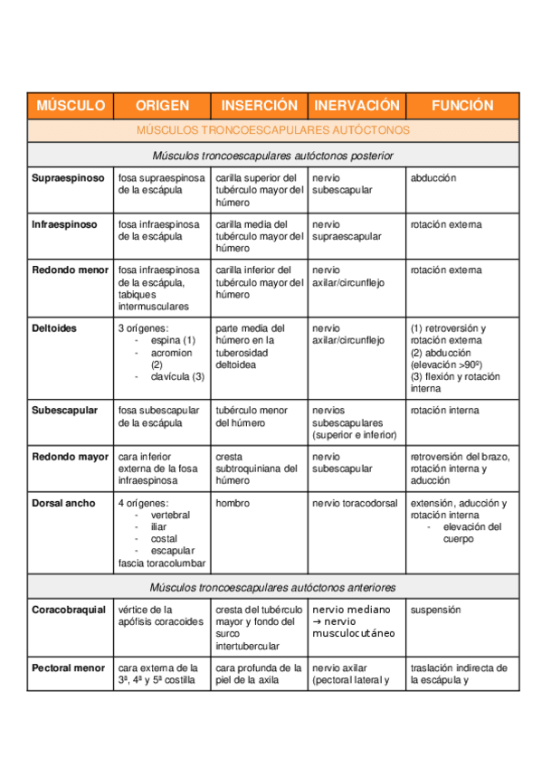 Miniatura del documento MUSCULOS-MS-TABLAS.docx