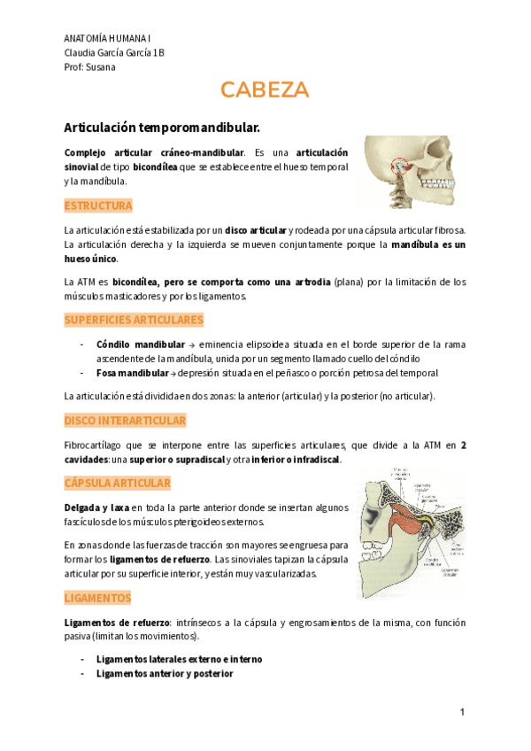 Miniatura del documento CABEZA.pdf