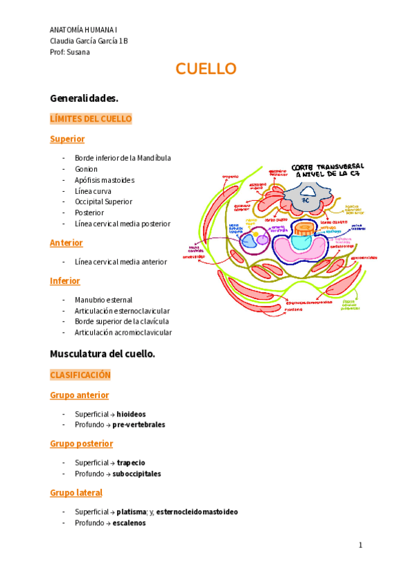 Miniatura del documento CUELLO.pdf