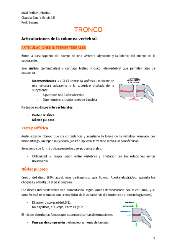 Miniatura del documento TRONCO.pdf