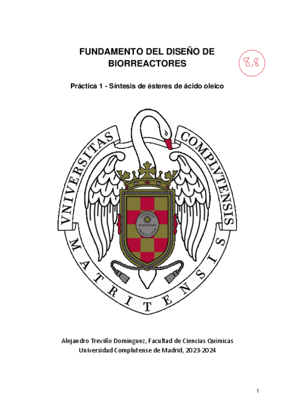 Miniatura del documento Informe-1.pdf