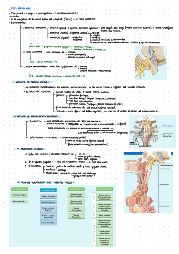 Miniatura del documento X-n-vago.pdf