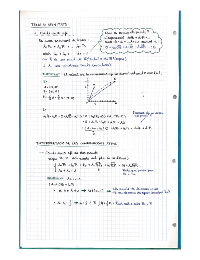 Miniatura del documento T3-AFINITATS.pdf