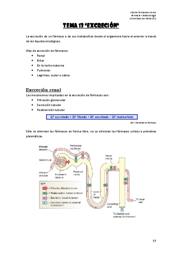 Miniatura del documento Tema 13 (Excrección).pdf