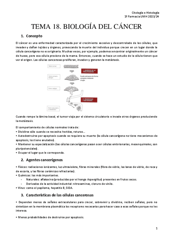 Miniatura del documento TEMA-18.-BIOLOGIA-DEL-CANCER-CH.pdf