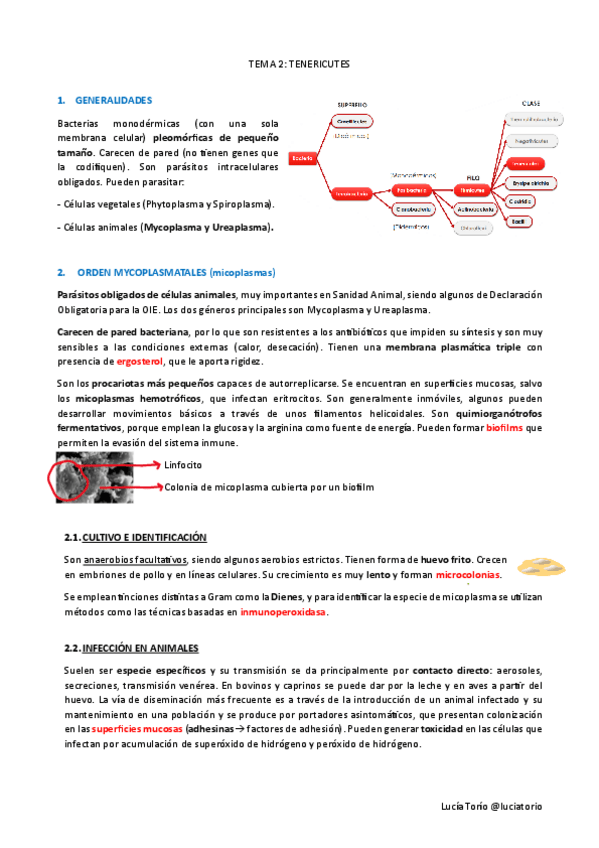 Miniatura del documento Agentes-biologicos-I-T2-Tenericutes.pdf