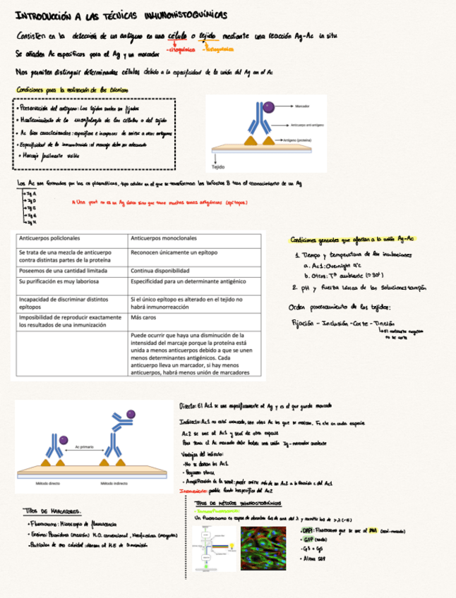 Miniatura del documento Ampliacion-apunte.pdf