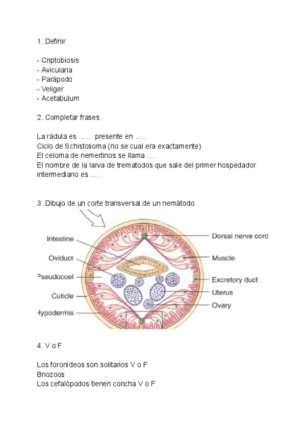 Miniatura del documento EXAMEN-JUNIO-ZOO.-2-PARTE.pdf