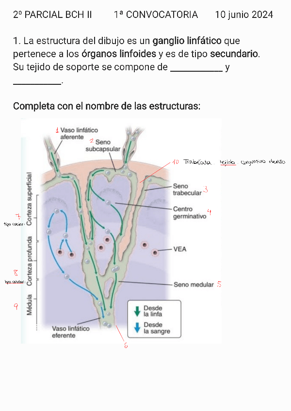 Miniatura del documento 2-SEGUNDO-PARCIAL-2024.pdf