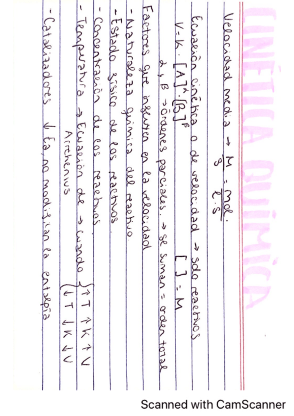 Miniatura del documento apuntes-cinetica-quimica.pdf