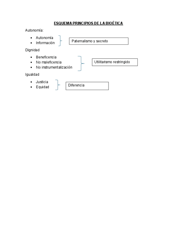 Miniatura del documento ESQUEMA-PRINCIPIOS-DE-LA-BIOETICA.pdf