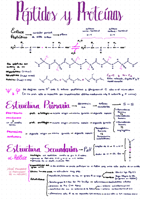 Miniatura del documento T-8-Peptidos-y-prot.pdf