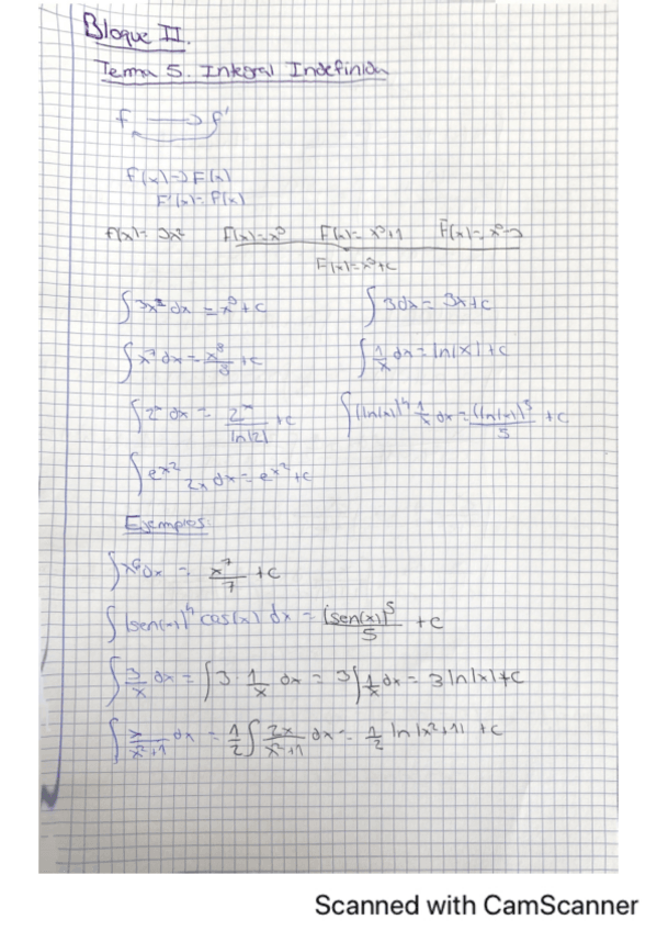 Miniatura del documento Cuaderno-Bloque-II-Integrales.pdf