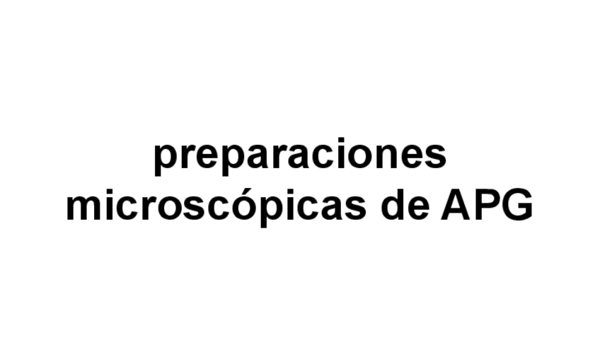 Miniatura del documento preparaciones-microscopicas-APG-flashcard.pdf
