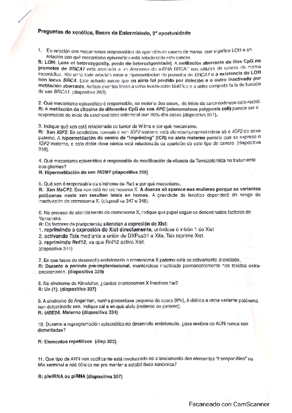 Miniatura del documento RECOPILATORIO-examenes-bases.pdf