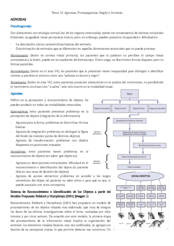 Miniatura del documento Tema-14-Neuro-Cognitiva.pdf
