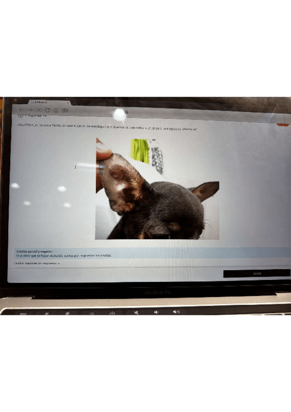 Miniatura del documento examen-respondus-modulo-1-junio-2024.pdf