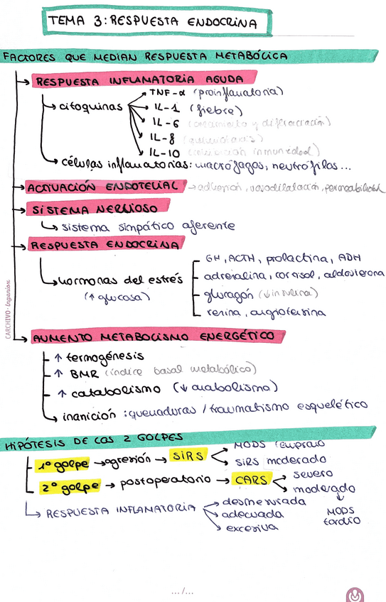 Miniatura del documento Respuesta-endocrina.pdf