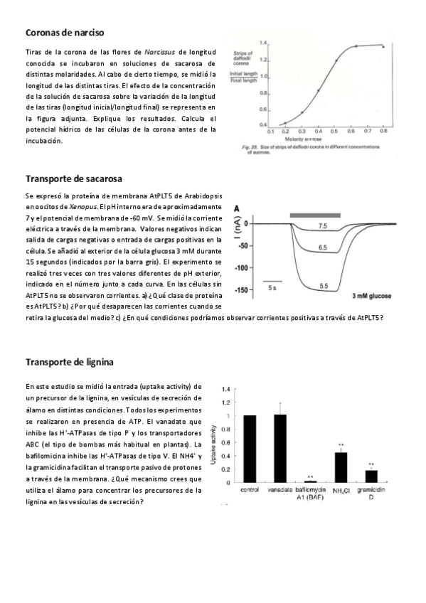 Miniatura del documento Fisio-Vex-Seminario-1-Transporte.pdf
