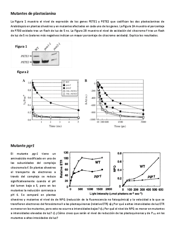Miniatura del documento Fisio-Vex-Seminario-3-Luz-e-Adaptacion.pdf