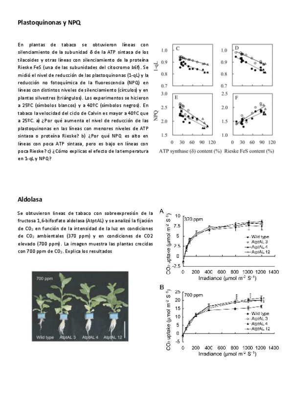 Miniatura del documento Fisio-Vex-Seminario-4-Adaptacion-e-Carbono.pdf