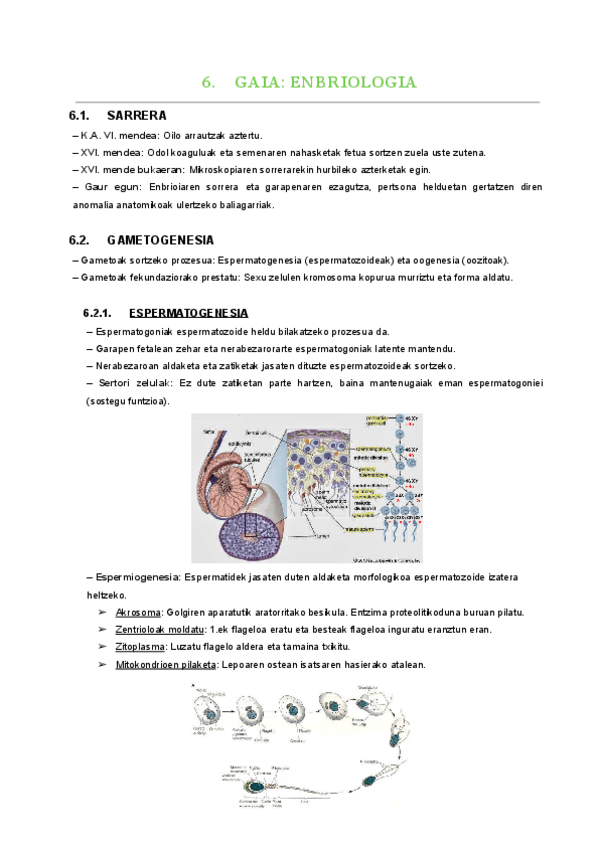 Miniatura del documento 6.-gaia.pdf