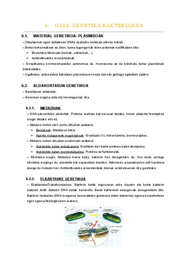 Miniatura del documento 06.-gaia.pdf