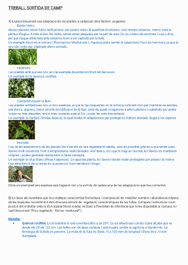 Miniatura del documento sortida-de-camp-a4d7f0f8d406ee53270d2e26b434293f.pdf