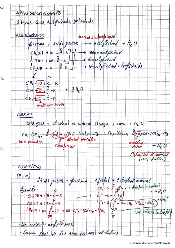 Miniatura del documento biologia-batxillerat-selectivitat.pdf