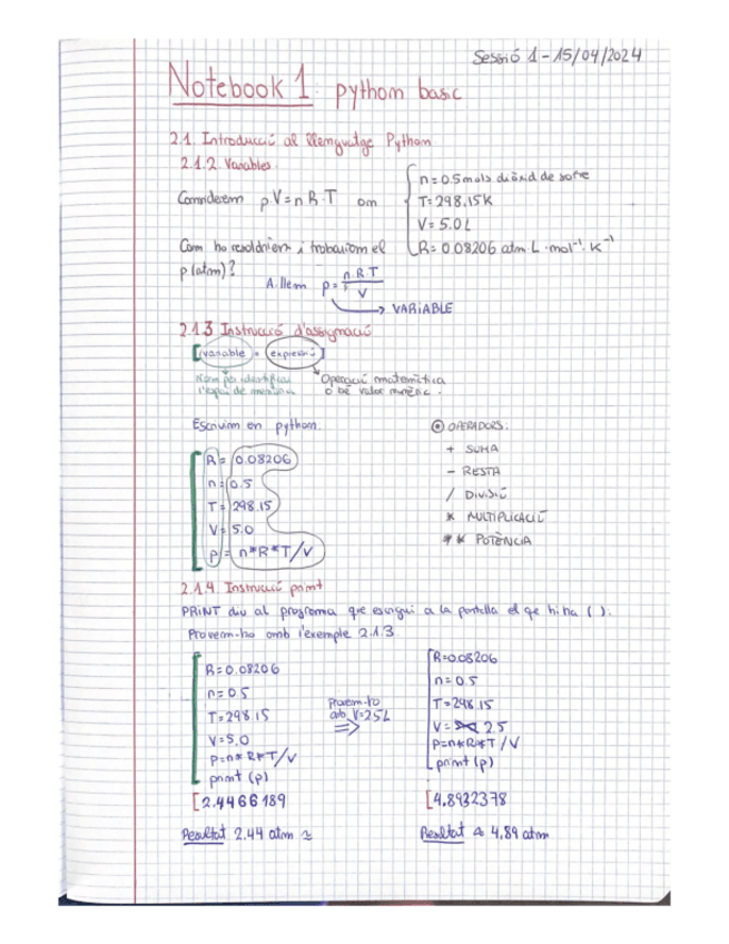 Miniatura del documento Nb-1-Python-Basic-Resolt-RIQ.pdf