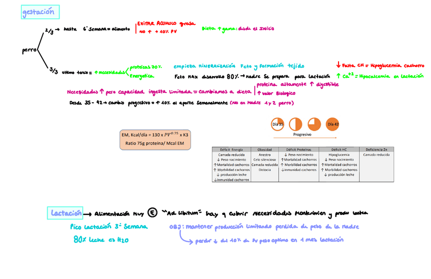 Miniatura del documento Nutri-canina-y-felina-resumen.pdf