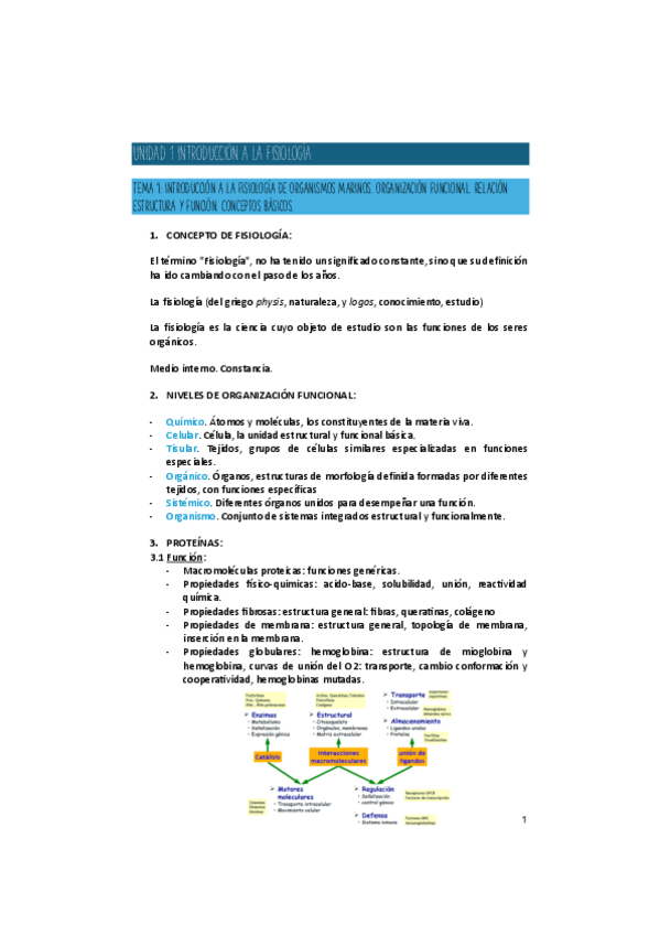 Miniatura del documento FISIO-U1-U3.pdf