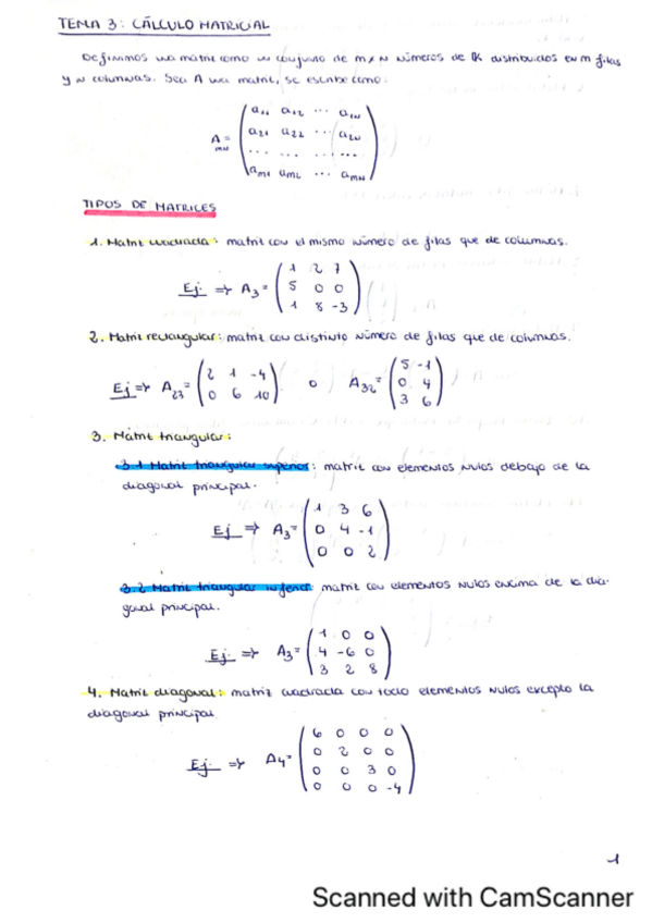 Miniatura del documento TEMA-3-Teoria-y-practicas.pdf