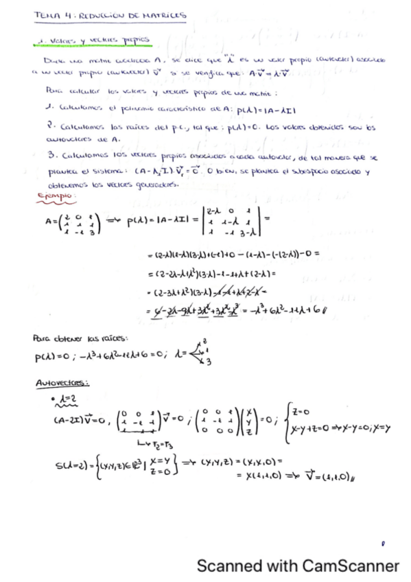 Miniatura del documento TEMA-4-Teoria-y-practicas.pdf
