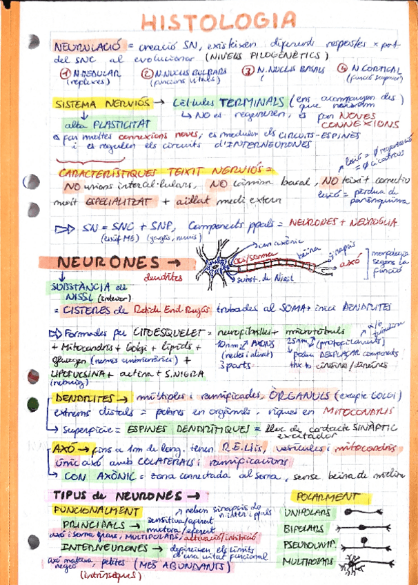 Miniatura del documento Resum-histologia-sistema-nervios-1o-med-upf-Histologia-del-sistema-nervios-i-dels-organs-sensitius.pdf