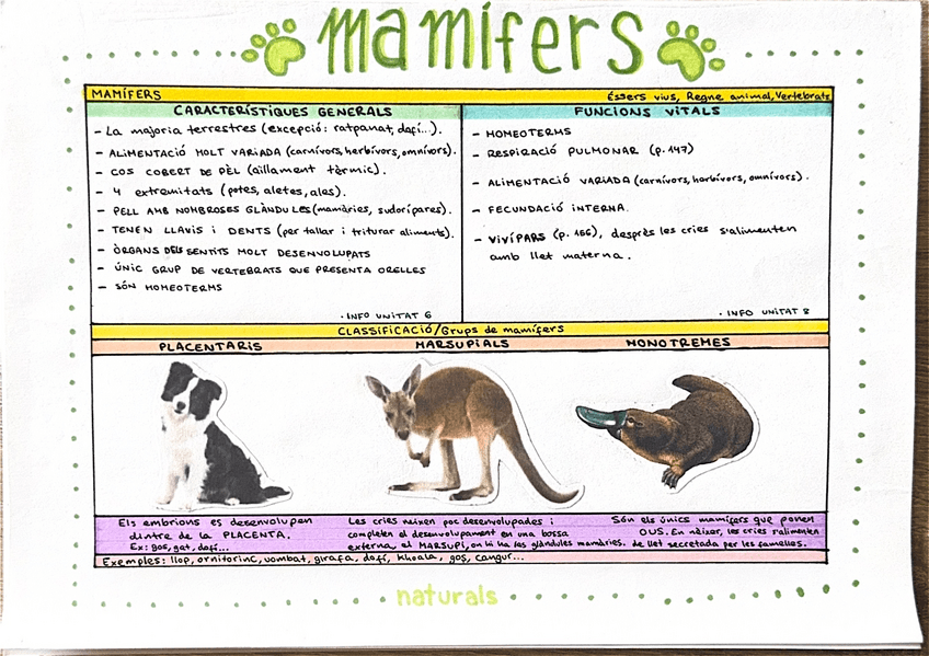 Miniatura del documento Naturales-1ESO-Fichas-animales-vertebrados-y-invertebrados.pdf