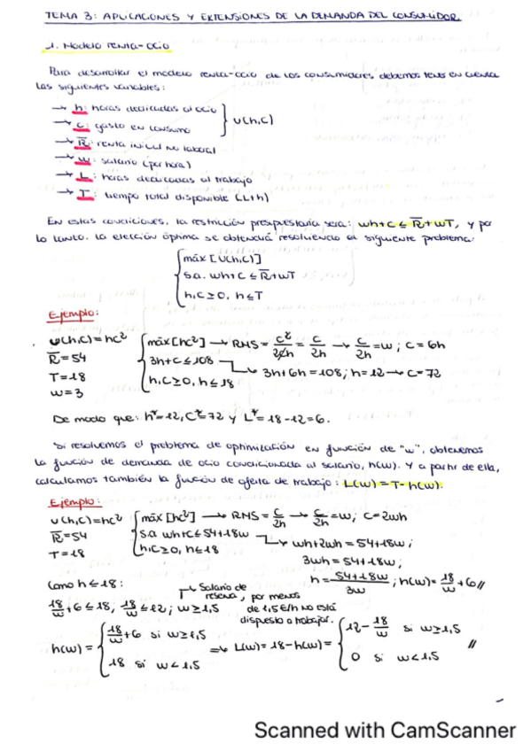Miniatura del documento TEMA-3-Teoria-y-practicas-Mic-I.pdf