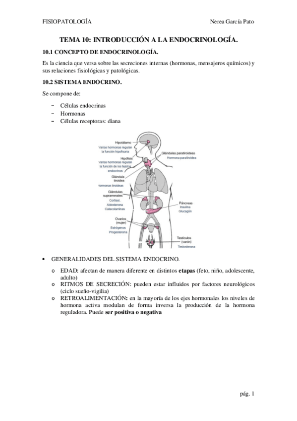 Miniatura del documento TEMA-10-INTRODUCCION-A-LA-ENDOCRINOLOGIA.pdf