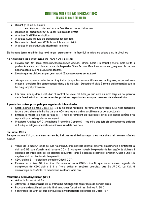 Miniatura del documento TEMA-5.-EL-CICLE-CELLULAR.pdf