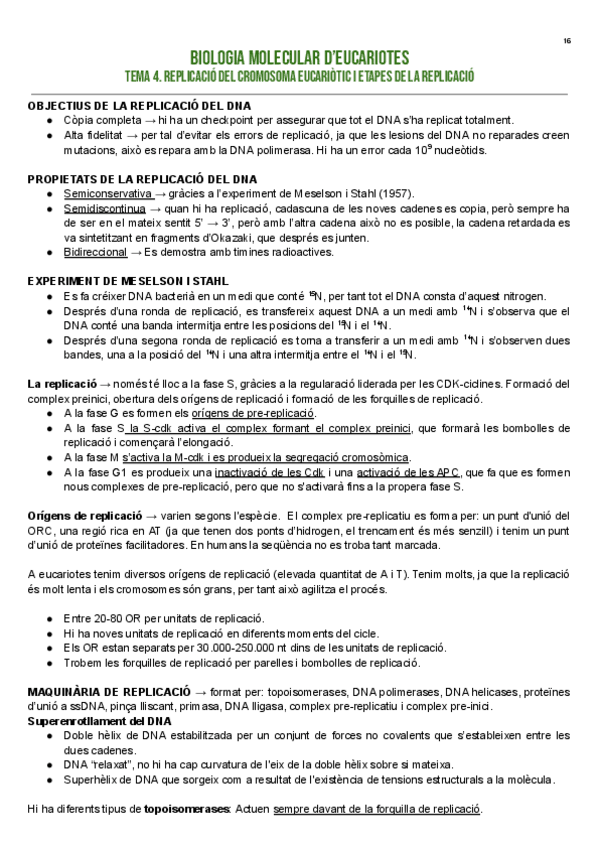 Miniatura del documento TEMA-4.-REPLICACIO-DEL-CROMOSOMA-EUCARIOTIC-I-ETAPES-DE-REPLICACIO.pdf