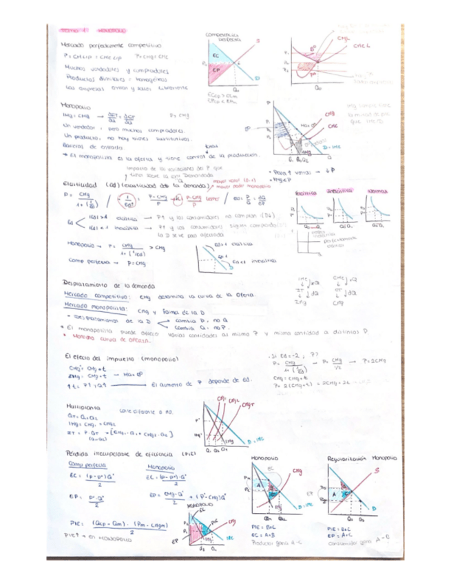 Miniatura del documento micro-resumen-apuntes.pdf