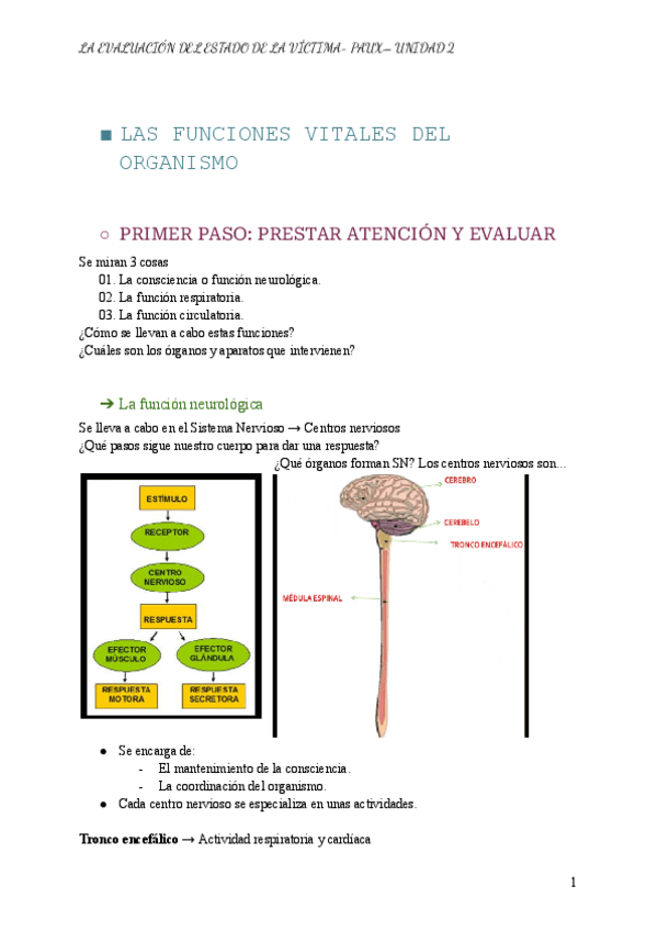 Miniatura del documento Unidad-2-LA-EVALUACION-DEL-ESTADO-DE-LA-VICTIMA.pdf