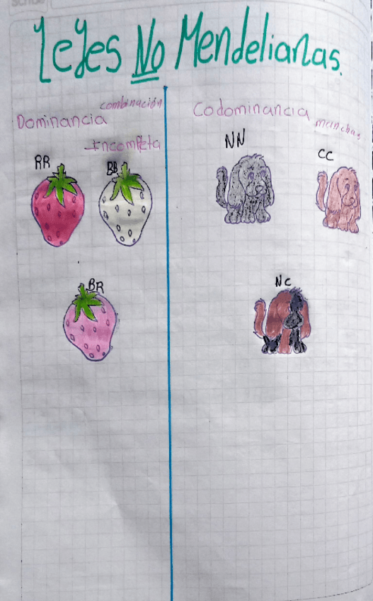 Miniatura del documento Adobe-Scan-25-jun-2024-1.pdf