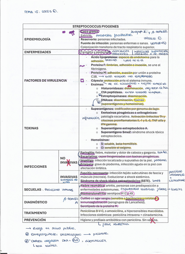 Miniatura del documento Cocos positivos corregidos (T15).pdf