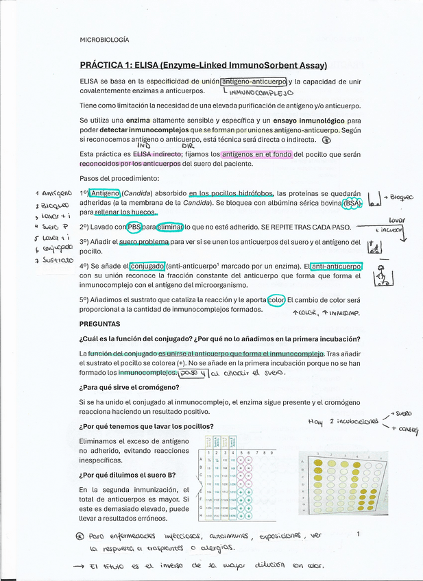 Miniatura del documento Resumen-practicas-laboratorio.pdf