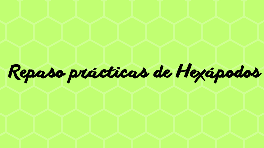 Miniatura del documento Repaso-Practicas-Hexapodos.pdf