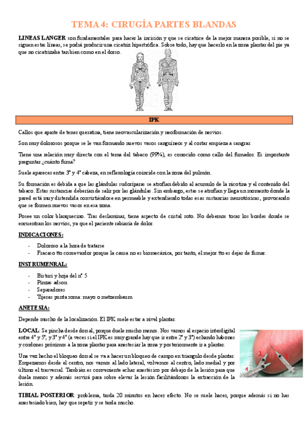 Miniatura del documento TEMA-4-CIRUGIA-II-PARTES-BLANDAS.pdf