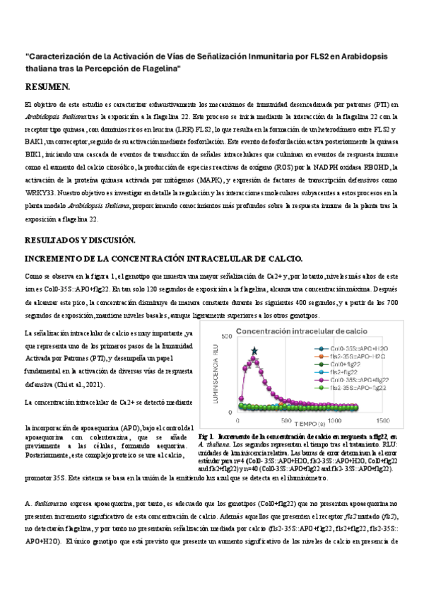 Miniatura del documento Guion-practicas-bmp-2023-2024.pdf