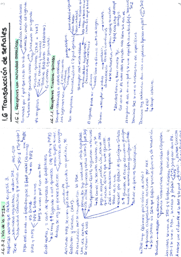 Miniatura del documento Endocrino.-Transduccion-de-senales.pdf