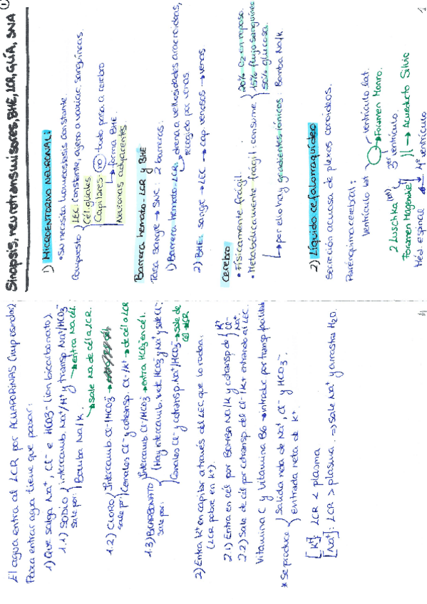 Miniatura del documento Sinapsis-neurotransmisores-BHE-LCR-glia-SNA.pdf